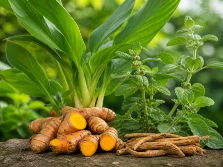 The Ultimate Guide to Ritucharya: Staying Balanced This Season