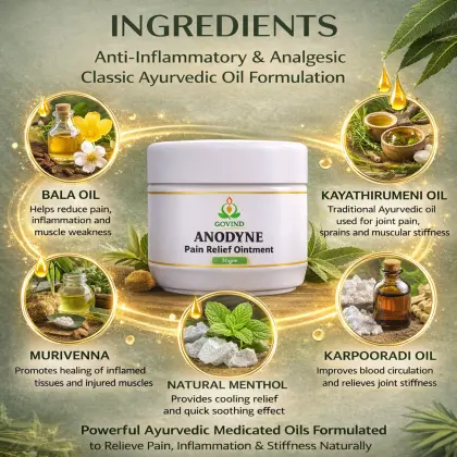 Anodyne Ointment 30 g Ayurvedic external application ointment